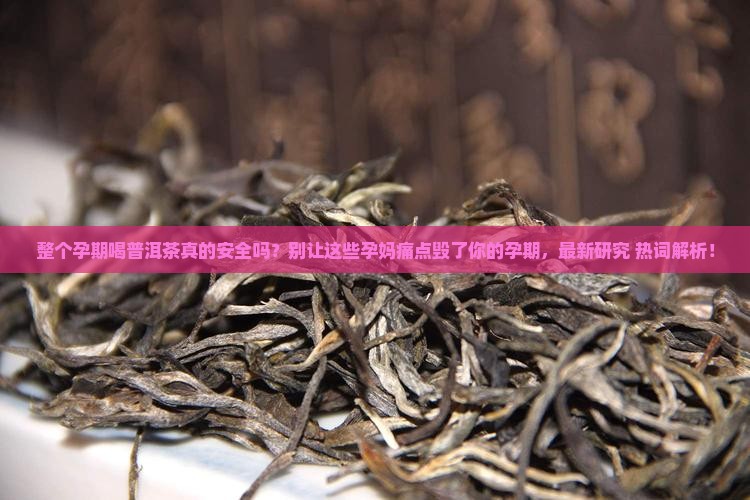 整个孕期喝普洱茶