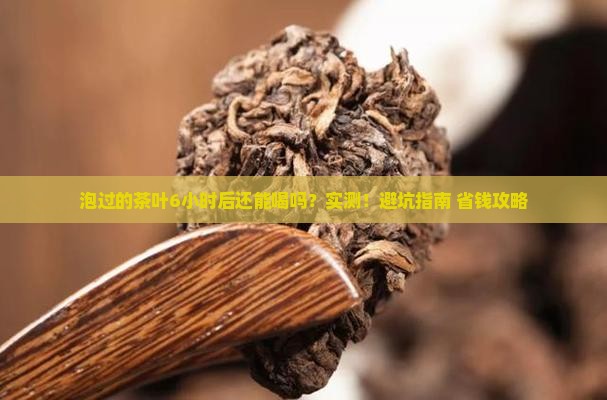 泡过的茶叶6小时后还能