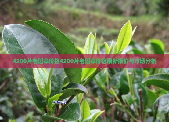4200片老班章价格