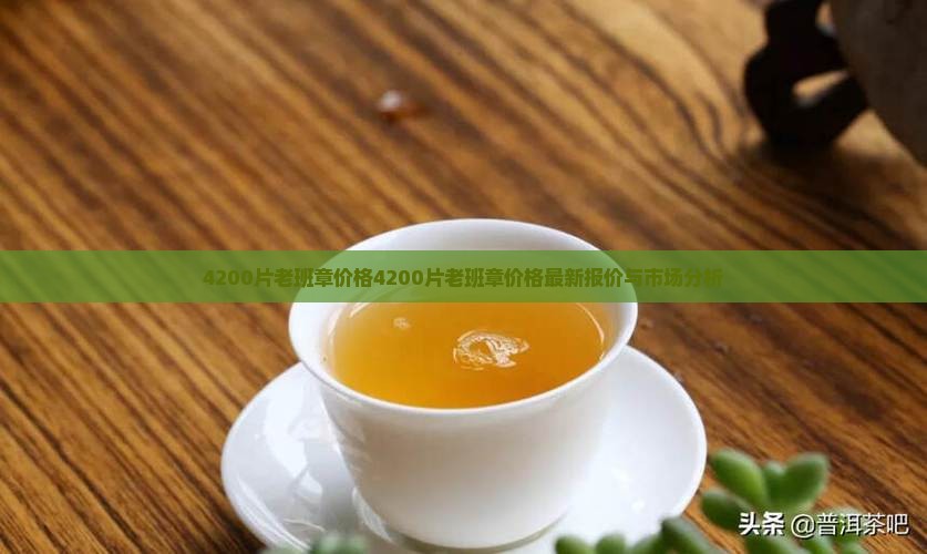 4200片老班章价格