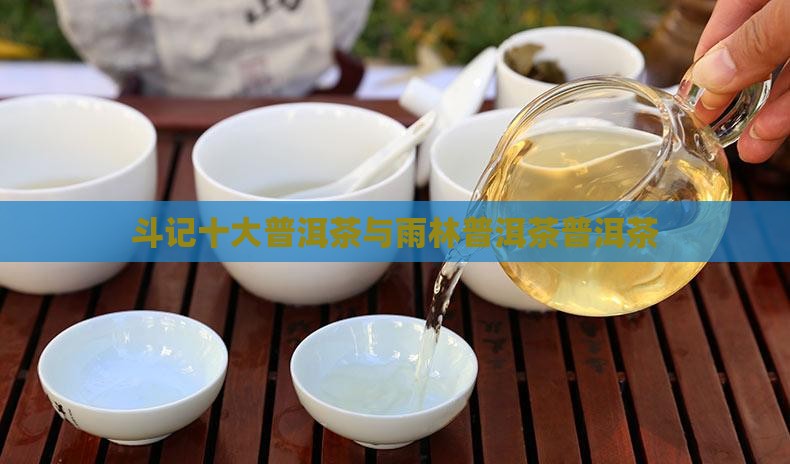 雨林普洱茶与斗记普洱茶