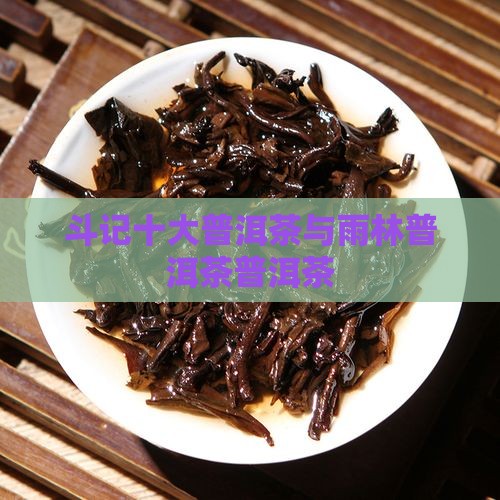 雨林普洱茶与斗记普洱茶