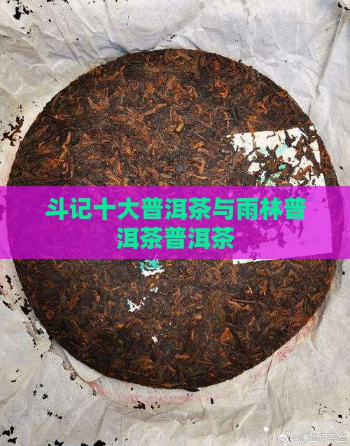 雨林普洱茶与斗记普洱茶