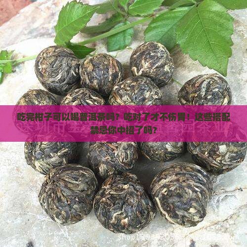 吃完柑子可以喝普洱茶吗