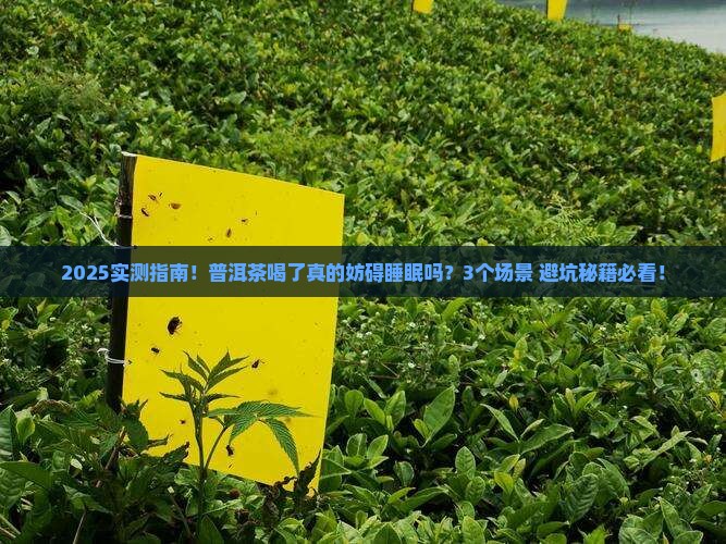 普洱茶喝了妨碍睡眠吗