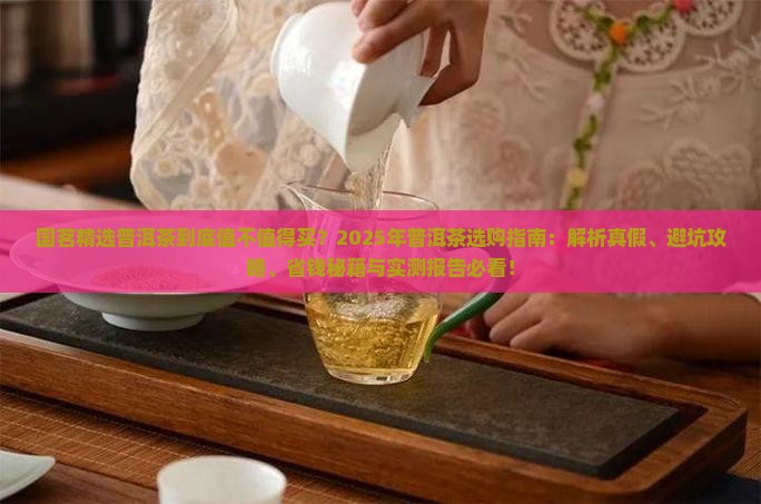 国茗精选普洱茶