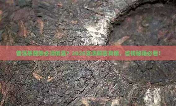 普洱茶一定要低温醒茶吗