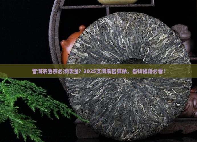 普洱茶一定要低温醒茶吗