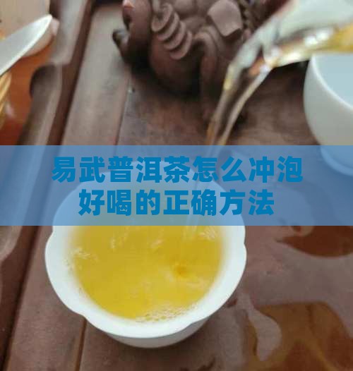 易武普洱茶怎么冲泡好