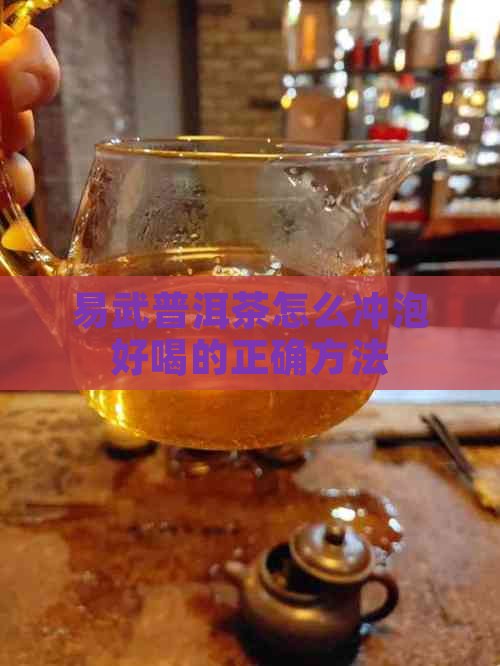 易武普洱茶怎么冲泡好