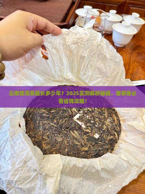 云南普洱茶最长多少年的 云南普洱茶最长多少年的
