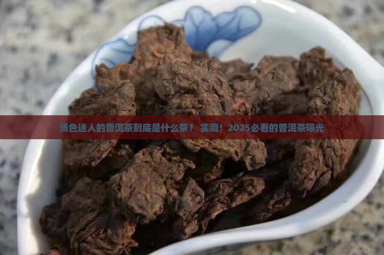 汤色迷人的普洱茶是什么茶