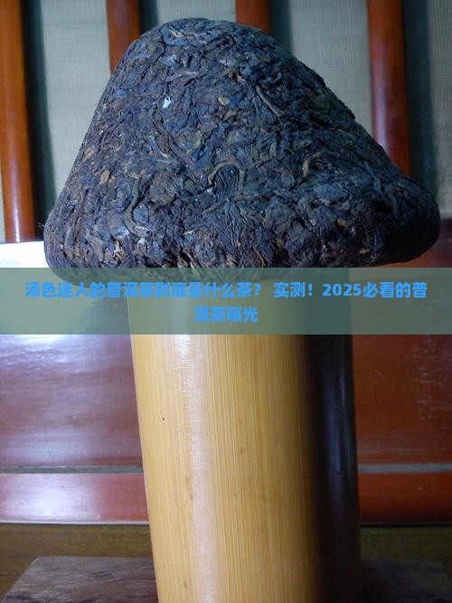 汤色迷人的普洱茶是什么茶