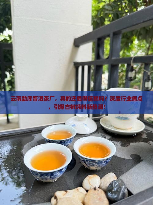 云南勐库普洱茶厂