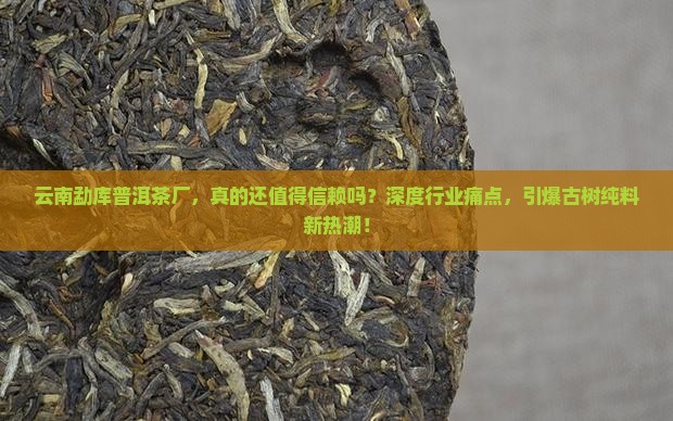 云南勐库普洱茶厂