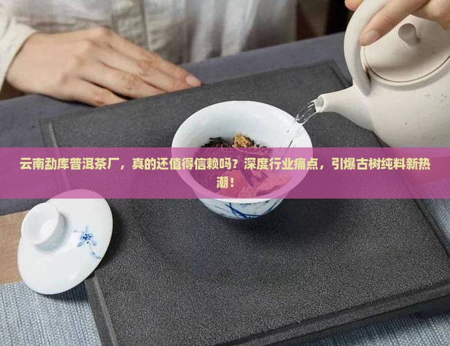云南勐库普洱茶厂