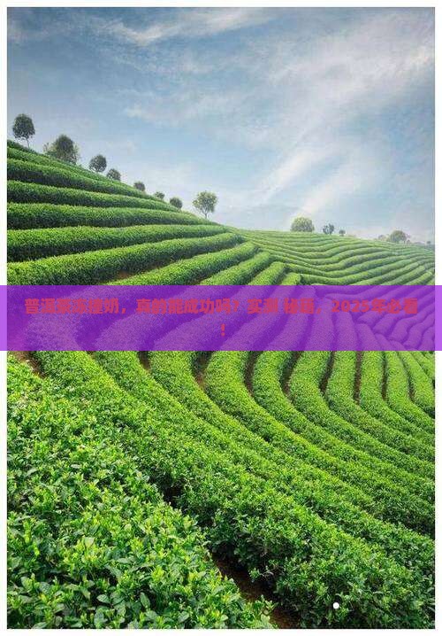 普洱茶冻撞奶做法
