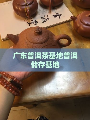 广东储存普洱茶的基地
