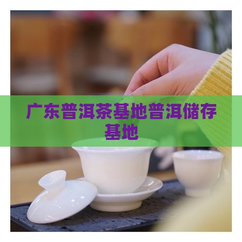 广东储存普洱茶的基地