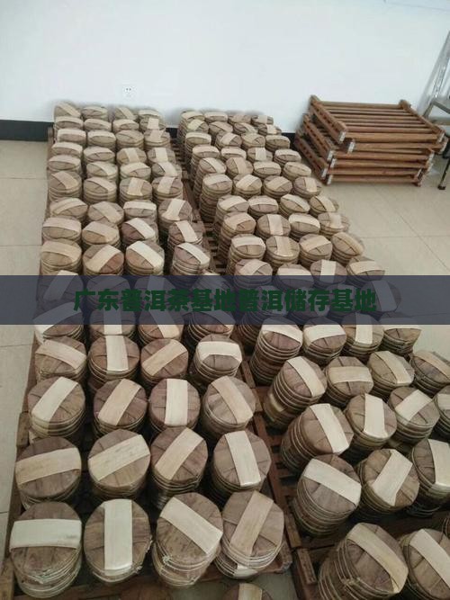 广东储存普洱茶的基地