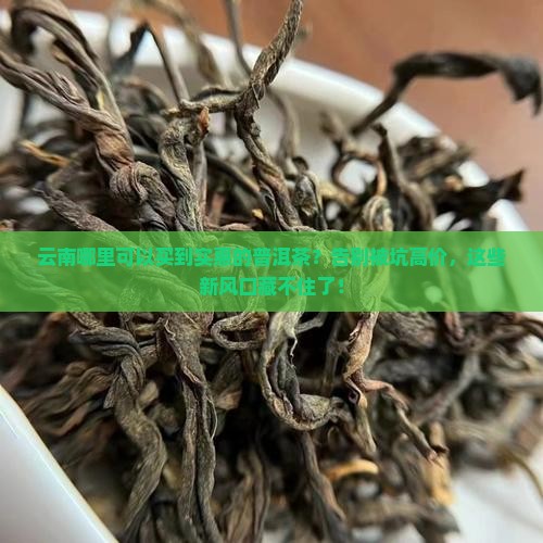 云南哪里可以买到实惠的普洱茶