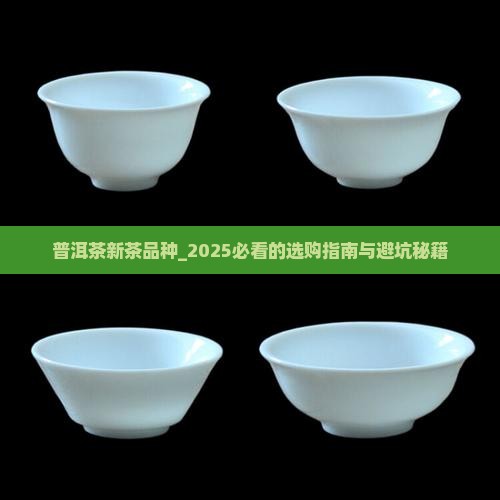 普洱茶新茶品种