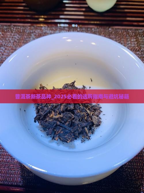 普洱茶新茶品种