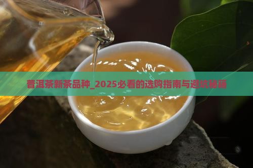 普洱茶新茶品种