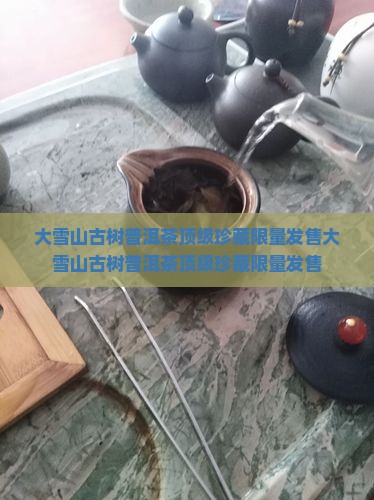 大雪山古树普洱茶