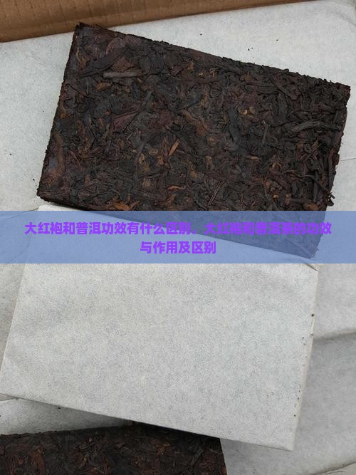 大红袍和普洱功效有什么区别
