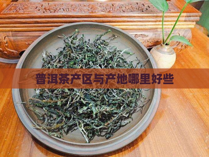 出口普洱茶产地哪里好些