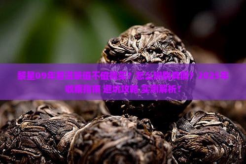 黎星09年普洱茶