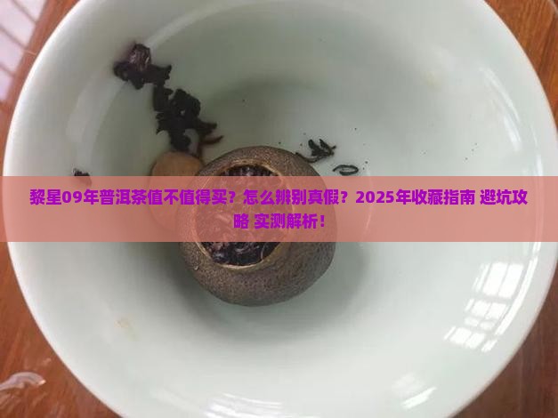 黎星09年普洱茶
