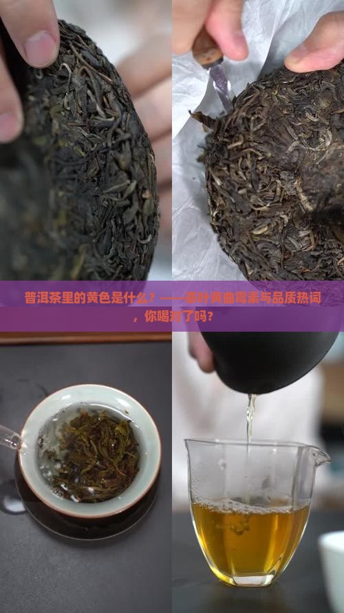 普洱茶里的黄色是什么