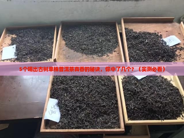 古树单株普洱茶口感