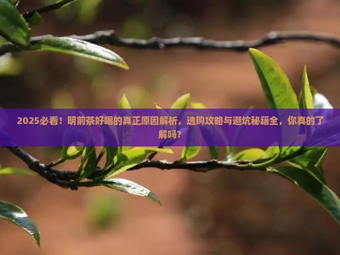 为什么明前茶好喝
