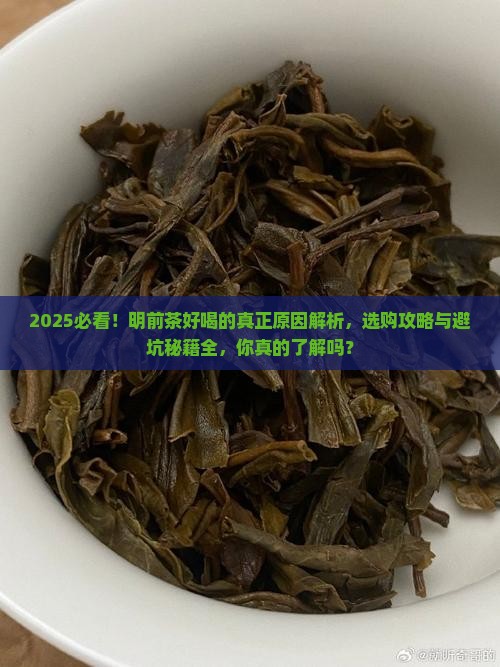为什么明前茶好喝