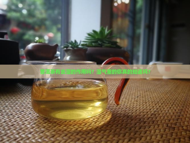普洱茶有去湿的作用吗