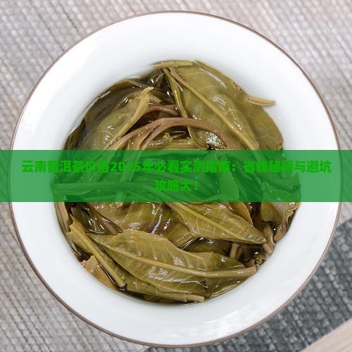云南普洱茶多少钱一斤