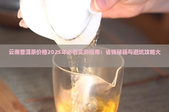 云南普洱茶多少钱一斤