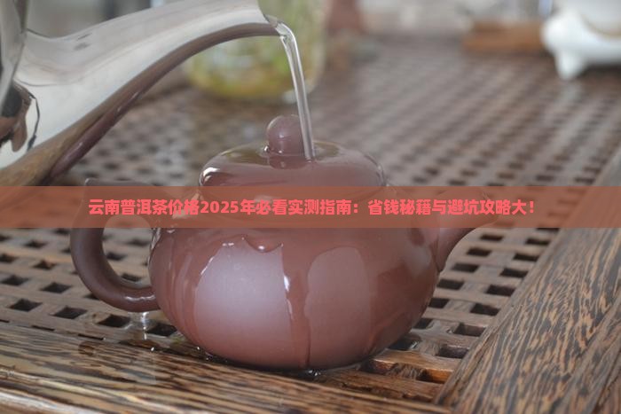 云南普洱茶多少钱一斤