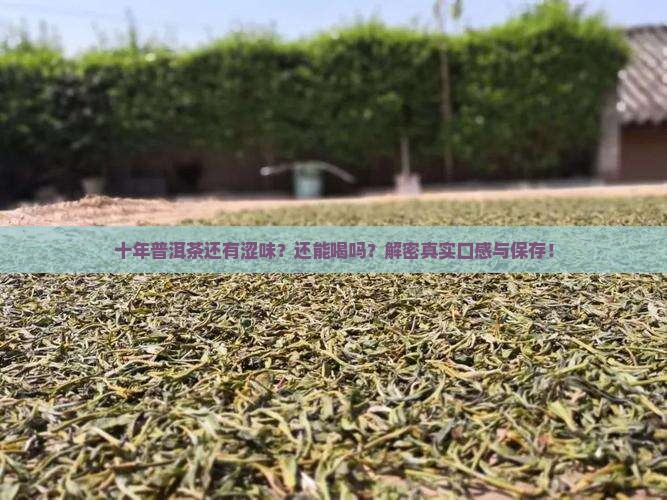 十年普洱茶还有涩味吗还能喝吗