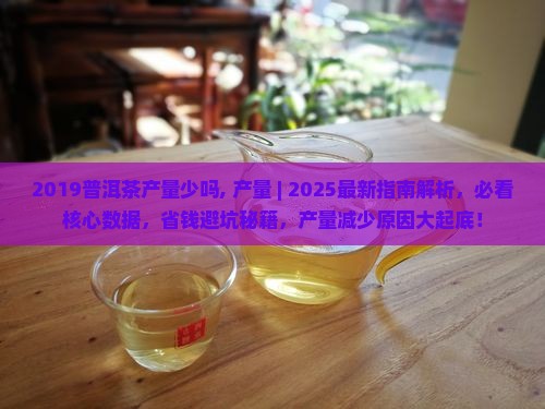 2019普洱茶产量少吗