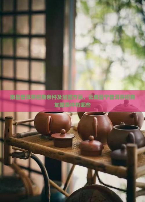 南昌普洱茶招商条件