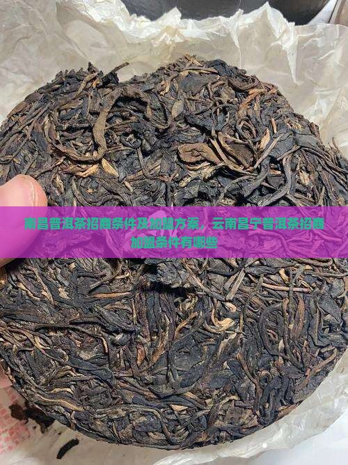 南昌普洱茶招商条件