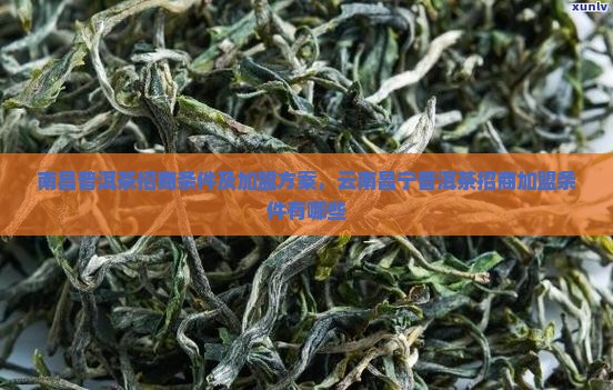 南昌普洱茶招商条件