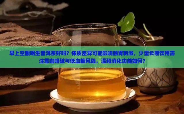 早上空腹喝生普洱茶好吗