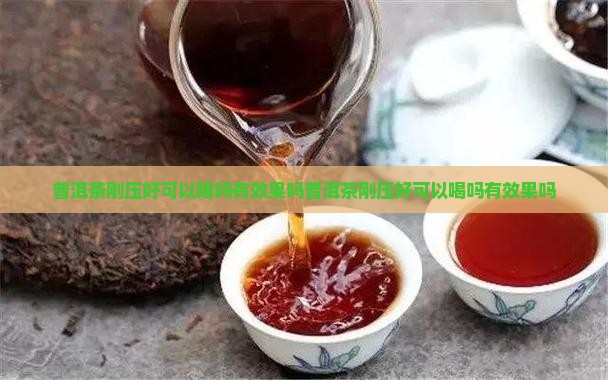 普洱茶刚压好可以喝吗有效果吗