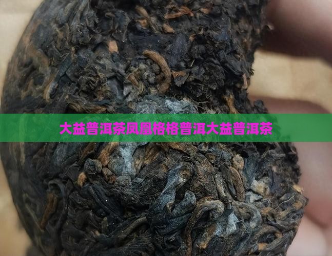 大益普洱茶凤凰