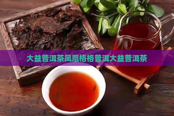 大益普洱茶凤凰